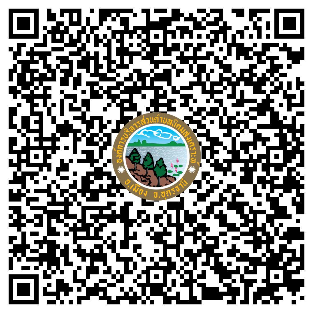 qr code 030