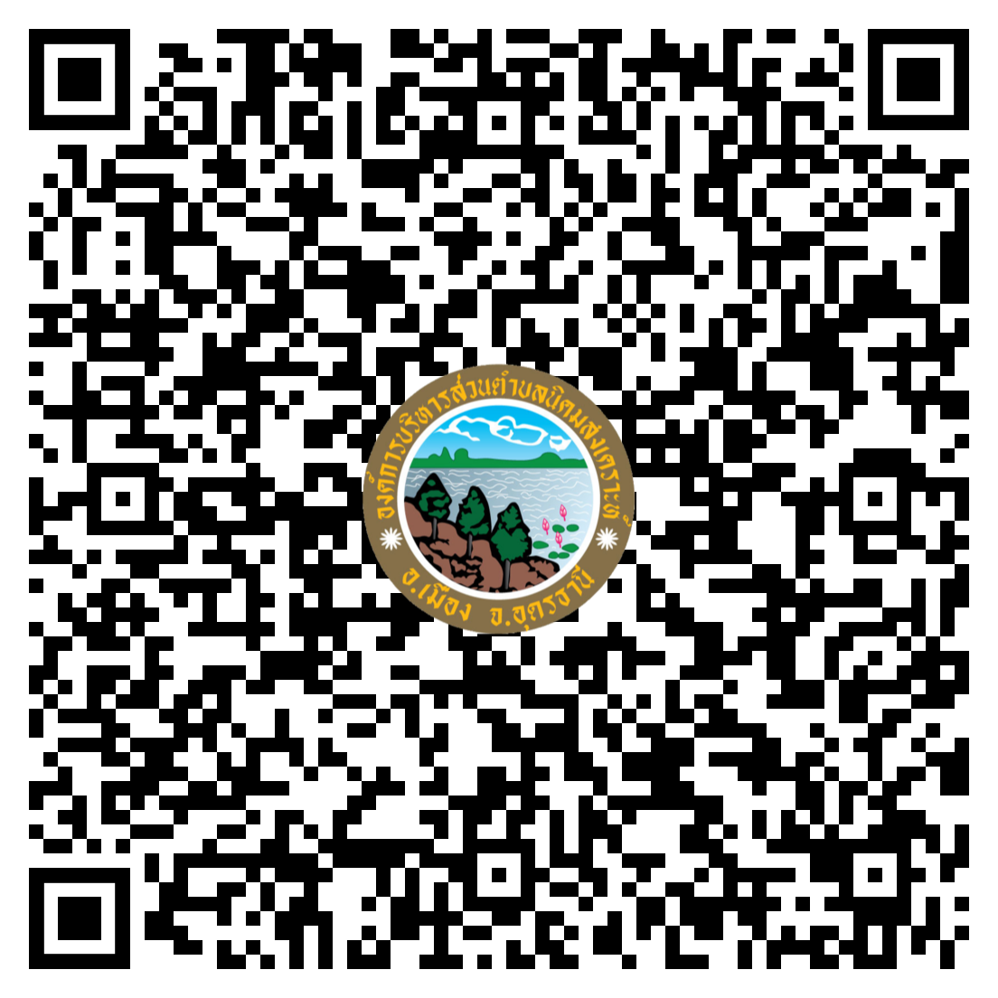 qr code 030