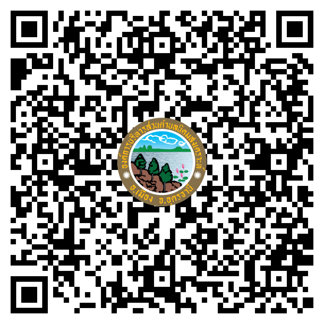 qr code 030