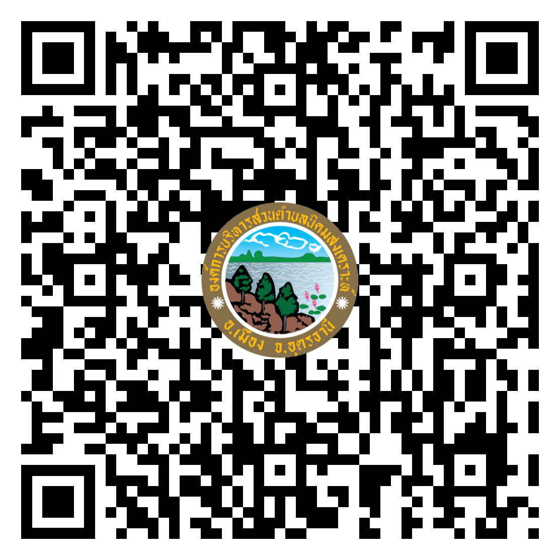 qr code 030